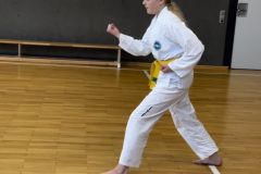 0256F740-B7F7-4816-8F2B-8F6E5BD7074E_1_105_c