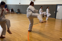 12813323-A9A9-47A6-B642-9C91558A8F12_1_102_o