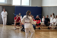 1A3B3377-6C45-4BCB-A4A1-F7D1B689FDF5_1_105_c