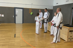 1D3F5340-3ADC-4D59-B759-846A1F3B407F_1_105_c