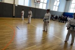 218A5B30-997B-4048-AEB6-35E1E06FEE61_1_105_c