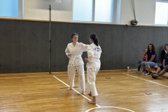 2369DC50-BCC3-44E1-8834-7F7E9AECABA5_1_105_c