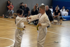 250A998A-EFD8-48D1-807B-04B23E5131F9_1_105_c