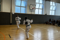 2785EFDF-7C76-4B9C-AB31-091E119357B9_1_105_c