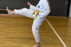 28FBF822-43B9-4429-8252-9DBF7E0B93D2_1_105_c