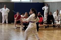 307A0981-4F24-40DD-8990-766B6BA365E9_1_105_c