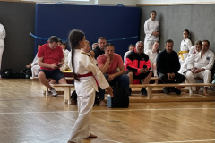 3183ADC3-AD9C-4302-8C0E-9B33924BF731_1_105_c