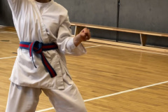 33178972-3E42-44FF-8D41-1C23AC70E799_1_105_c