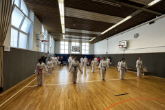 3624B0AB-3842-4877-AFE5-8A16DF302316_1_105_c