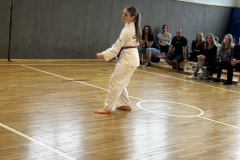 366DAA97-F59A-424C-9982-D822BF3236DE_1_105_c