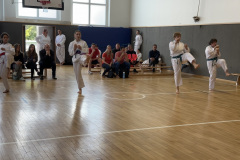 3744857D-6F38-4854-B6D8-B1839F04BDF4_1_105_c