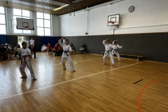 379D482B-D1FD-4ACB-8D0C-99A68FDD6672_1_105_c