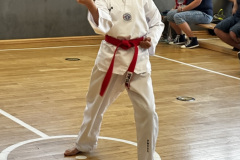 39084A77-64BD-4A9E-93AF-9605E53CB8A0_1_105_c