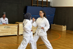 45CFC63F-8BF1-4C2C-B3CB-EB02BFC24C5F_1_105_c