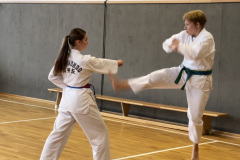 474672CD-3654-4585-8695-23CF41D12F1B_1_105_c