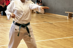 475129D0-A140-4B7A-A3E0-5D30BE7E1442_1_105_c