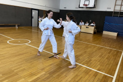 47F26815-43E3-489B-9A76-47CBED569223_1_105_c