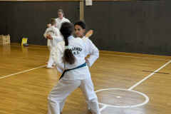 4D0869DB-8D0C-41AE-99D8-0DF6DCF27D0D_1_105_c
