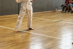 504BF6BD-06C0-4FF8-AE40-D67436766A1C_1_105_c