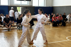 525F324A-A62F-465B-81DE-03509D262260_1_105_c