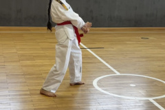 5551F2D1-4172-49F1-ABFB-7264BDA8EF5B_1_105_c