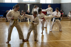 5605783C-D485-4849-B626-035E428548F7_1_105_c