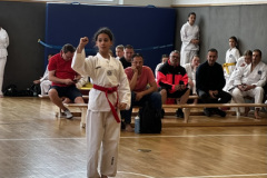 6208E756-4A95-44B4-9DEB-DFE63D2E3267_1_105_c