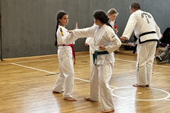 6486E6E0-AE78-456A-9AD2-DF49F2A1D254_1_105_c