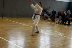 64AA2467-9402-48D4-9EF4-BD5CC50E3F0C_1_105_c