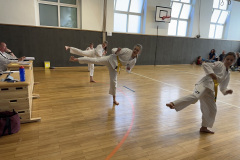 67E4CBF0-DDE7-4CDC-A935-5DBF24AB5F70_1_105_c