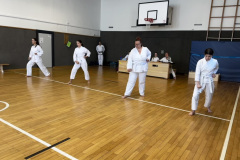 7113010F-27E8-428B-981C-974756A9B1FD_1_105_c