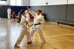 71BE1DE6-28C2-44C3-871C-6C90AC394D91_1_105_c