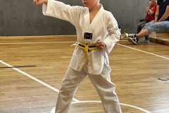 84B81343-7A52-469D-9FC5-AB0DAED4D1DC_1_105_c