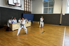 8760CC37-8B5B-4AEB-9C30-CAB7086EFE87_1_105_c