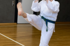 889BB6B1-E60C-4111-B068-02008BEE93DB_1_105_c