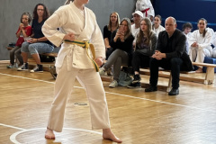 9396248E-631E-4A5D-9DE0-41301D15EFDF_1_105_c