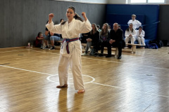 9EA91F28-CFFB-4528-BA90-D755EFEF0B58_1_105_c