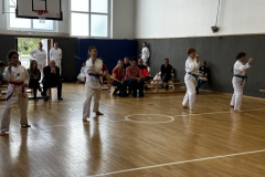 9F3F7CA2-35CC-4FF9-81F0-EEE1C8175460_1_105_c