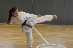 A6ACA3A9-73C9-4DE1-B8A6-DD59E58408D6_1_105_c