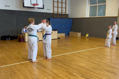 AE53E790-E35F-4473-8ED2-674700D6BA19_1_105_c