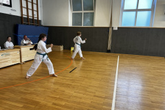 D09D15C3-2383-42C4-902F-C9F2B9E94DCF_1_105_c