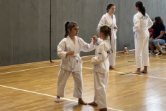 D14E310B-0C59-4D5F-8B52-3BAD5F354177_1_105_c