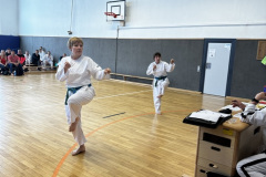 D184353F-EABF-43DC-8BB2-CB7B1E9B920D_1_105_c