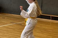 D3226888-F0FA-46B9-861D-8B80B0DC20CA_1_105_c