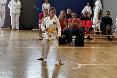 D3A1B3B1-4F19-4F8D-8732-4F35198432D0_1_105_c