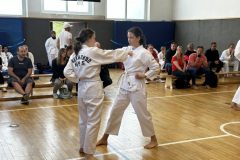 D43CE047-4BE8-46FF-9B4E-91669D1FA85E_1_105_c