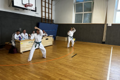 D85B63CD-C9DC-437E-BFD2-177C10CA4757_1_105_c