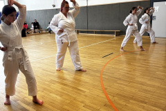 DAC43778-1F09-4DAB-B168-9E9E0129A994_1_105_c