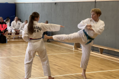 DCCE5971-31F3-4359-9AF0-EA06DE413254_1_105_c