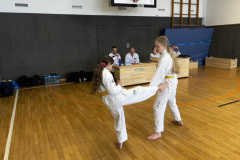 DDC37897-7463-460F-921A-E38D3E9D7DCC_1_105_c